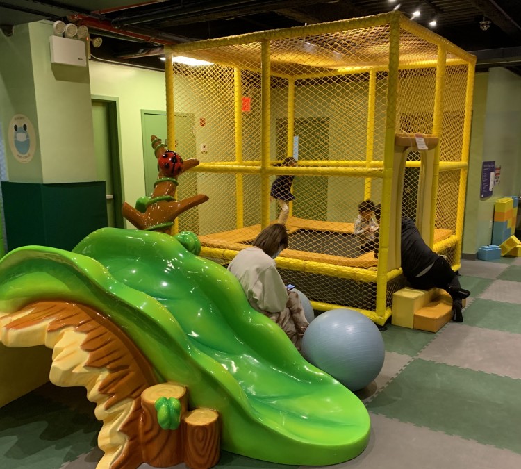 Playlab Kids Indoor Playground (Flushing,&nbspNY)